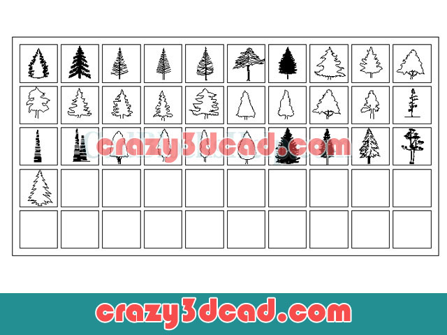 Conifer CAD blocks